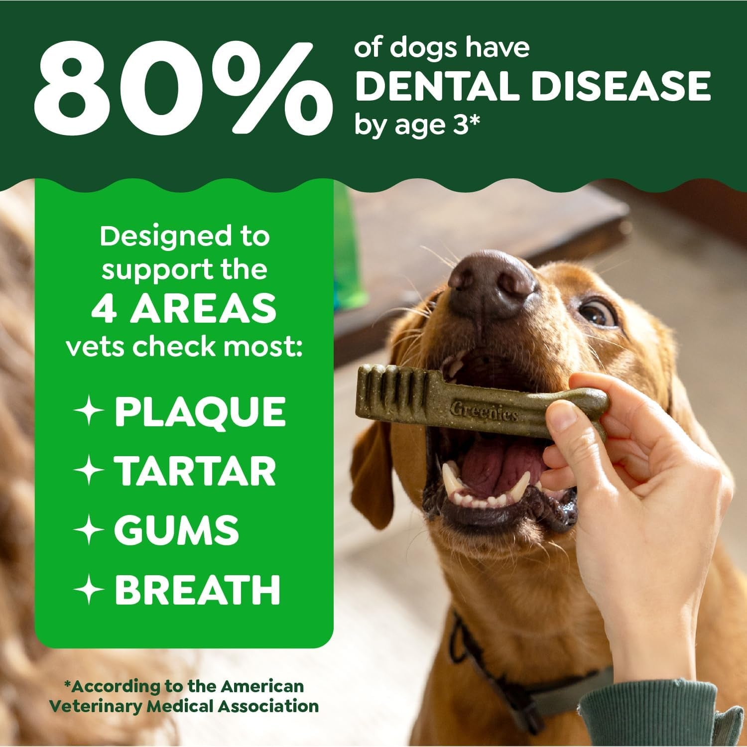 Original Petite Natural Dog Dental Care Chews Oral Health Dog Treats, 36 Ounce Pack (60 Treats)