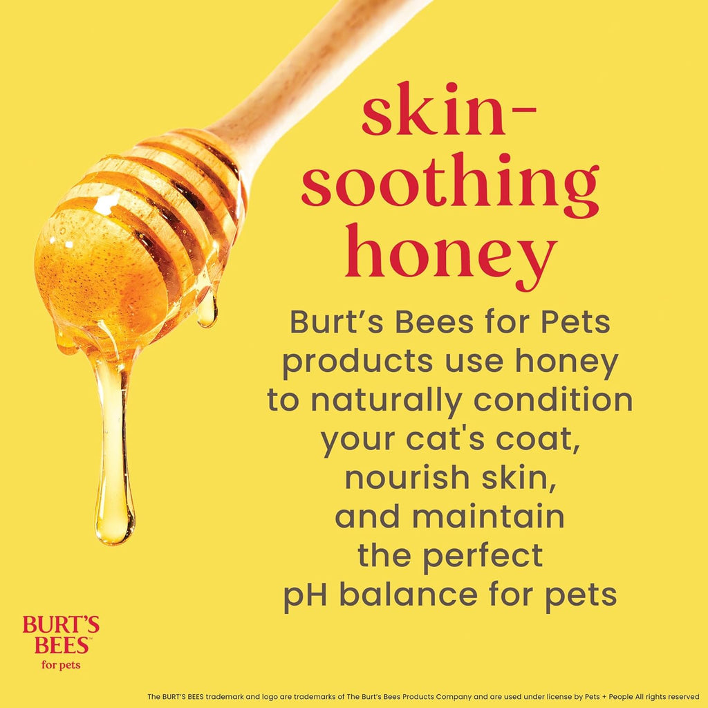 Burt'S Bees for Kittens Natural Tearless Shampoo with Buttermilk Cat Shampoo, Kitten Shampoo - Cat Grooming Supplies, Cat Bath Supplies, Shampoo for Cats, Kitty Shampoo, Pet Shampoo